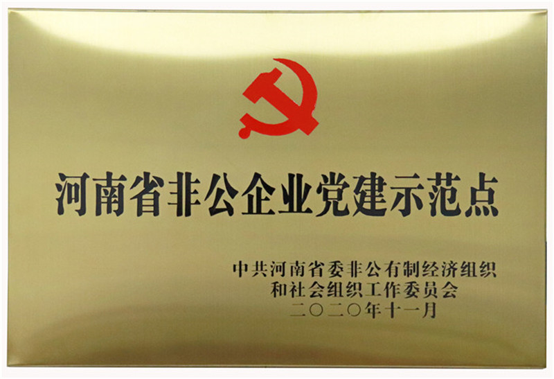 河南省非公企業(yè)黨建示范點(diǎn)