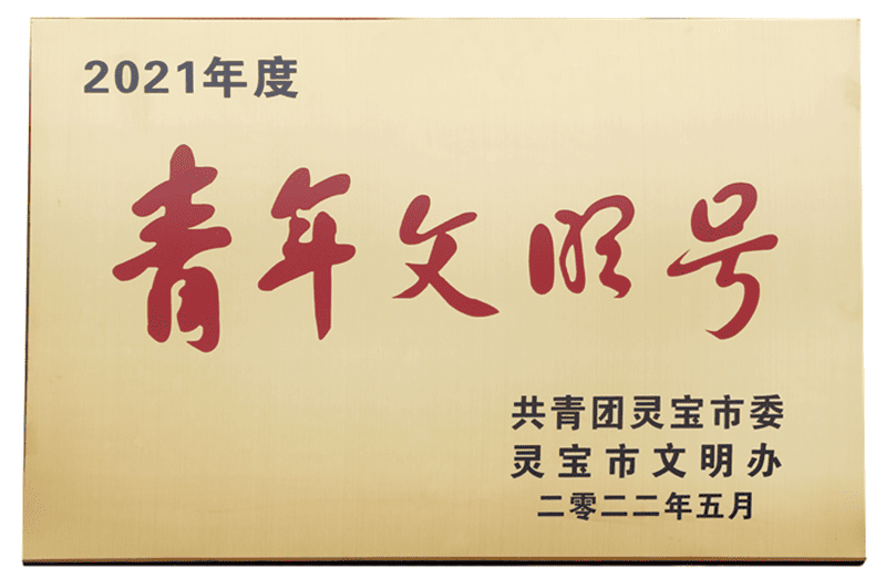  靈寶市青年文明號(hào)