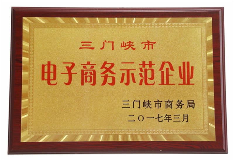  三門峽市電子商務示范企業(yè)